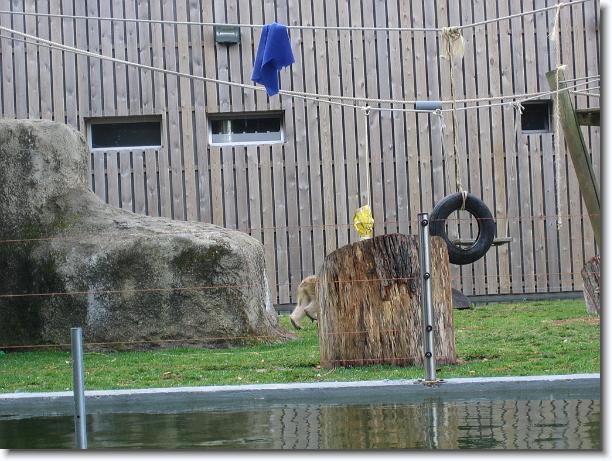 Diapositiva siguiente